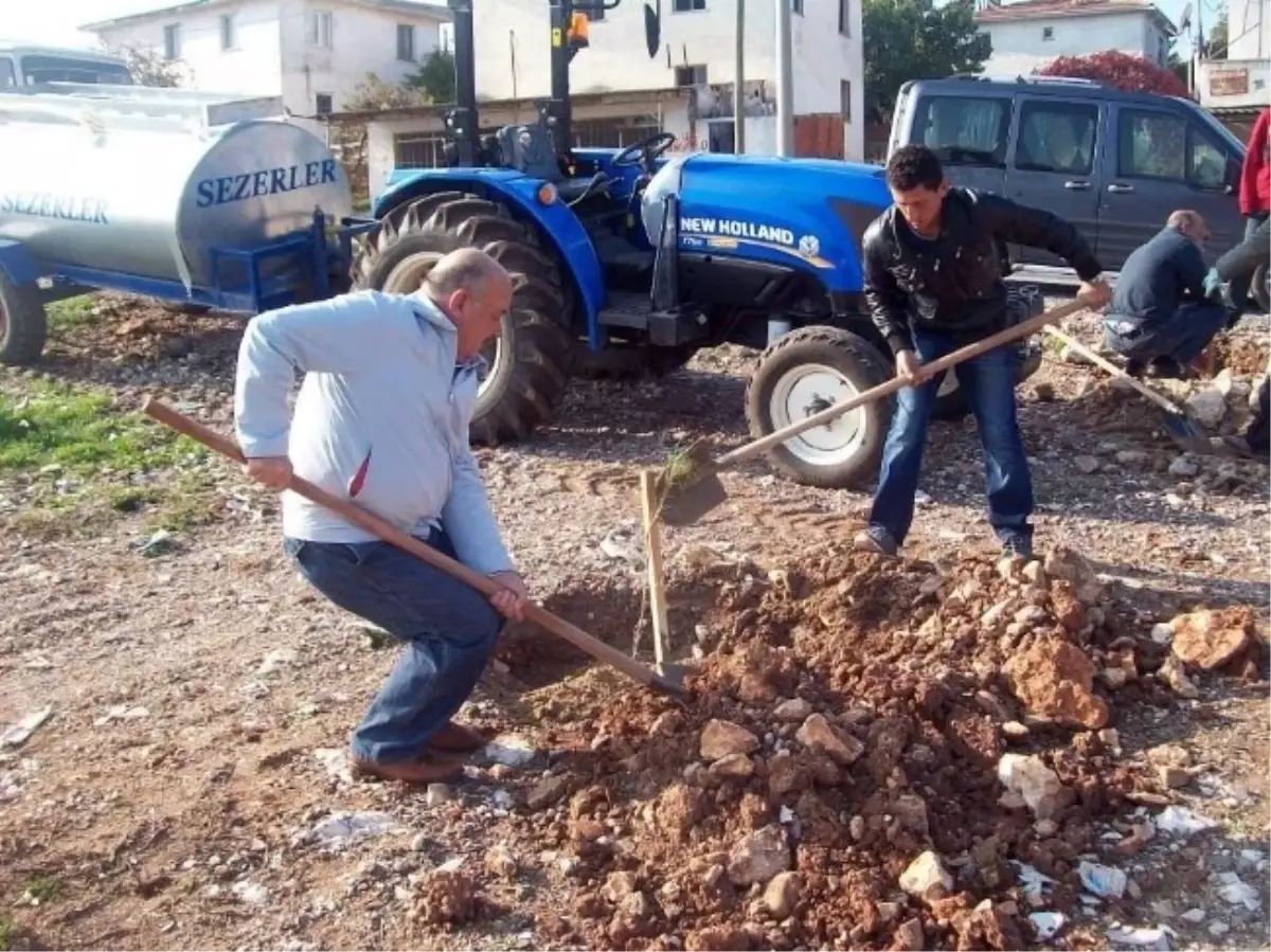 Didimli Doğa Yürüyüşçülerinden Doğaya Katkı