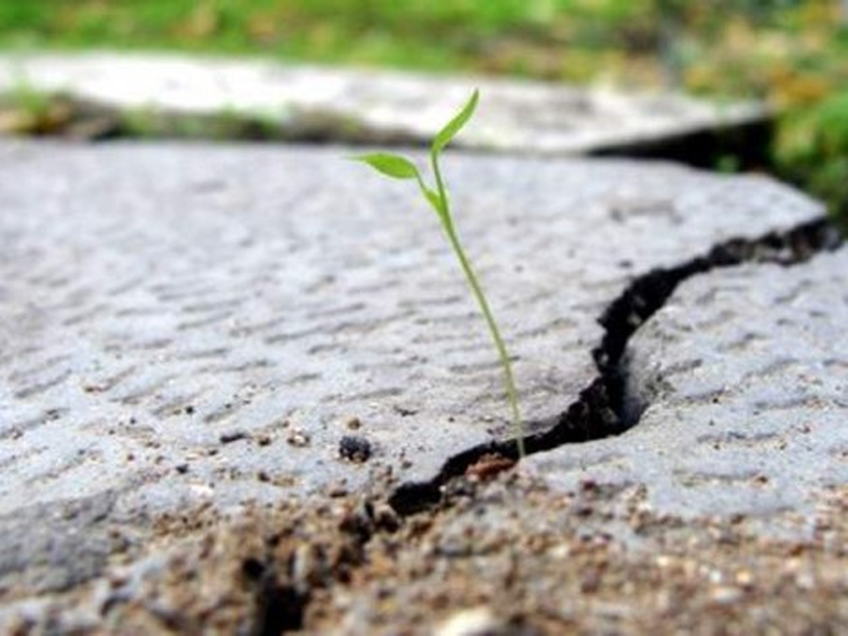 Endonezya Açıklarında Deprem