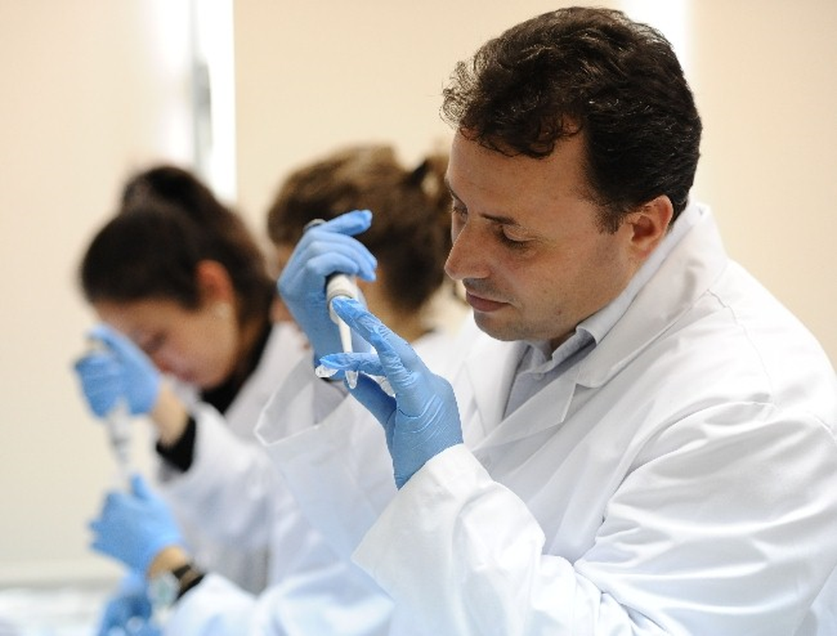 Öldürülen Leopar İran Parsı Çıktı