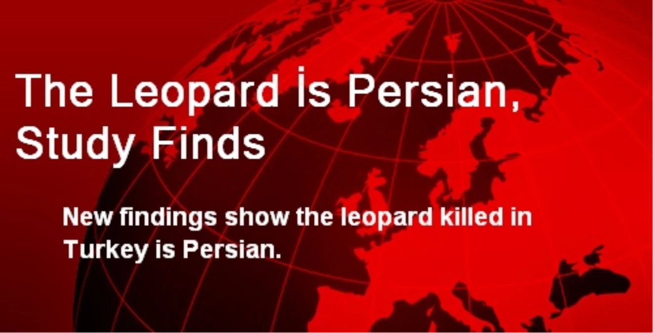 The Leopard İs Persian, Study Finds