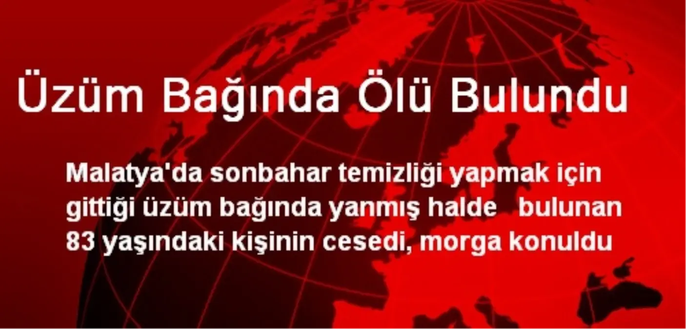 Üzüm Bağında Ölü Bulundu