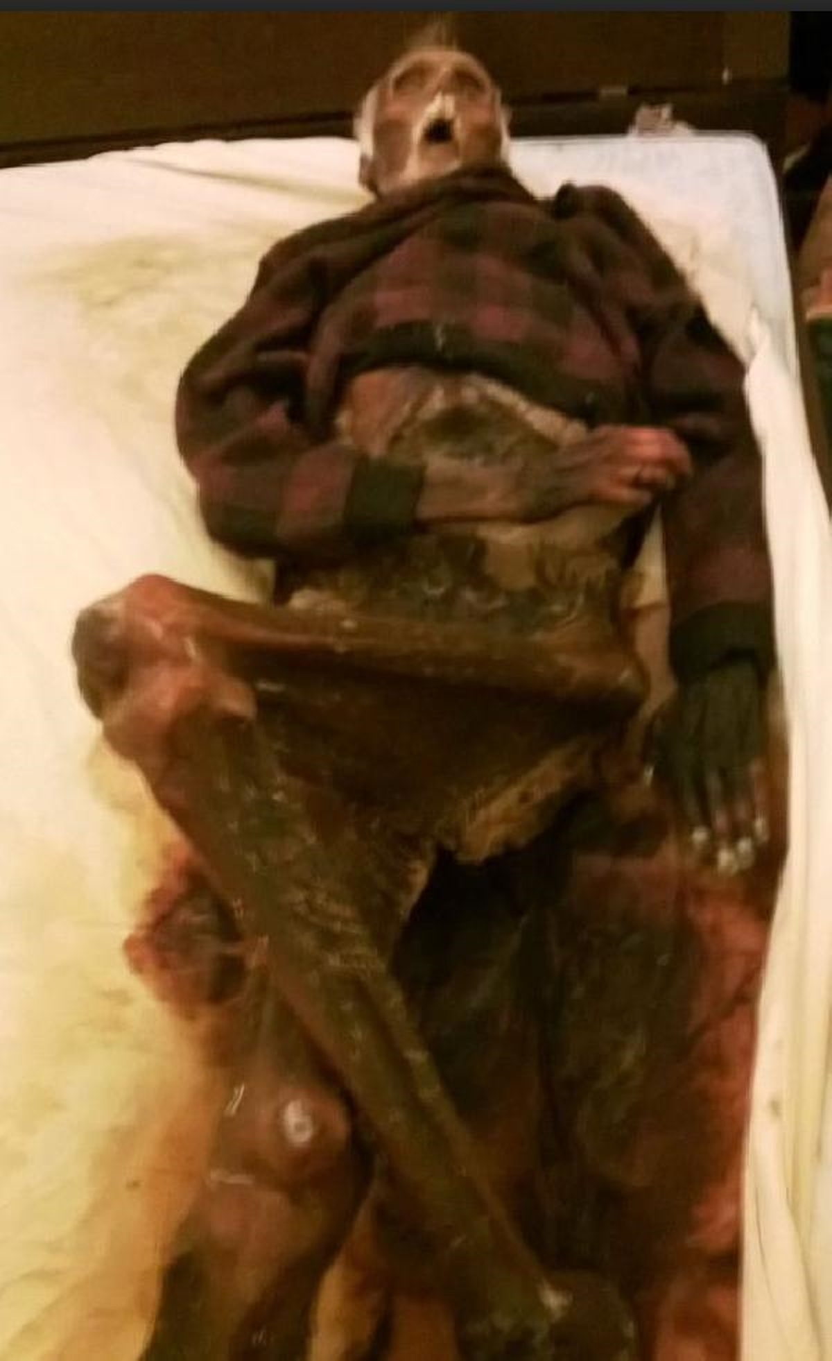 1 Yıl Boyunca Eşinin Mumyalaşmış Cesediyle Birlikte Uyudu