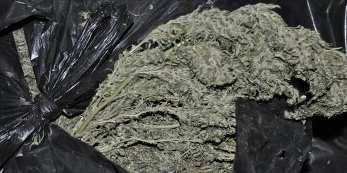 Avukatın Aracında 30 Kilogram Esrar