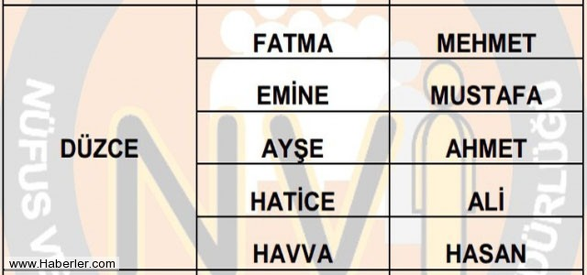 Düzce\'nin En Çok Fatma ve Mehmet\'i Var