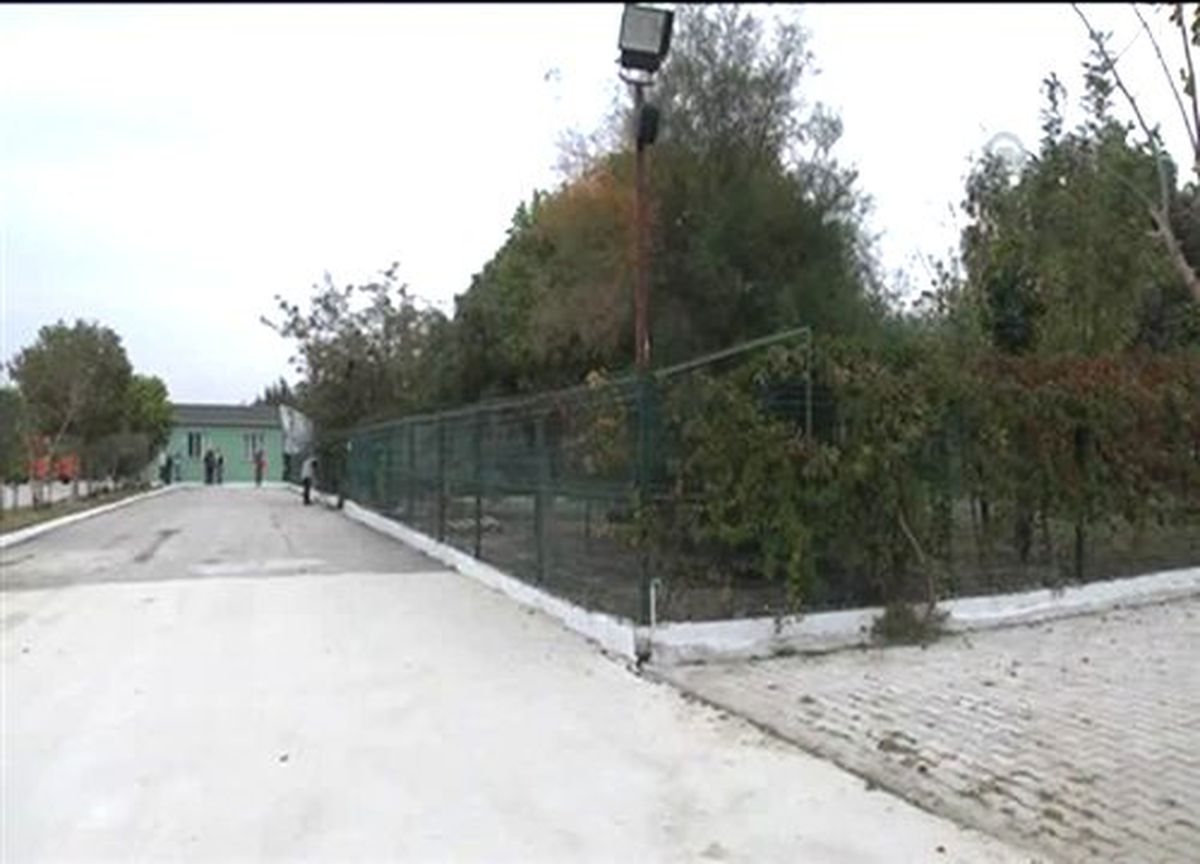 Hayvanat bahçesi gibi barınak
