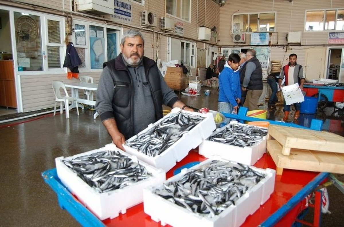 Marmara\'da Hamsi Bollaştı