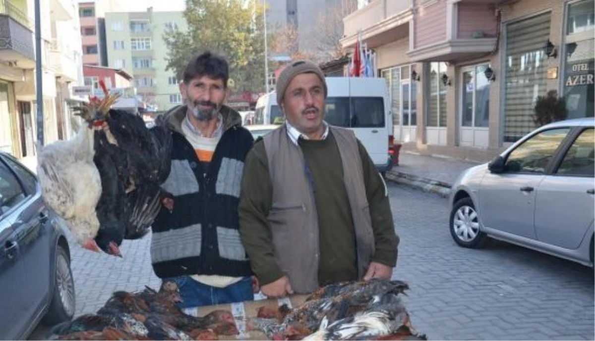 Şehirde Günde 25 Tur Atarak Geçimlerini Sağlıyorlar