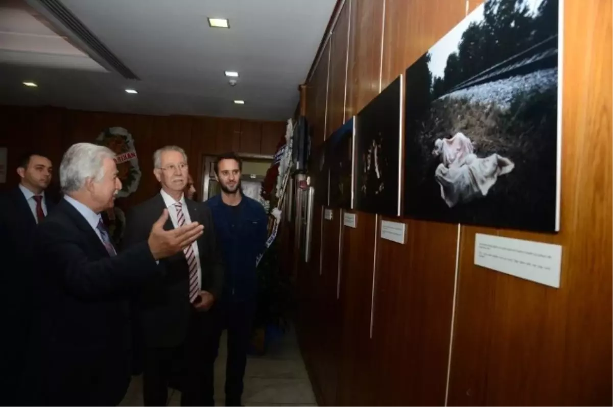 "Sınırların Ötesinde" Sergisi