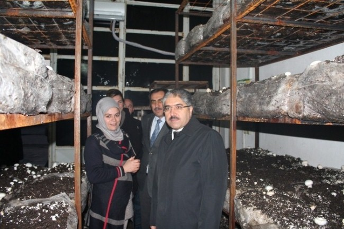 Vali Çınar\'dan Girişimci Kadın Çiftçilere Ziyaret