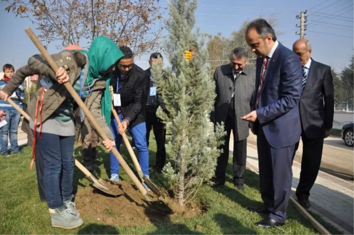 Bursa\'da Yabancı Öğrenciler Fidan Dikti