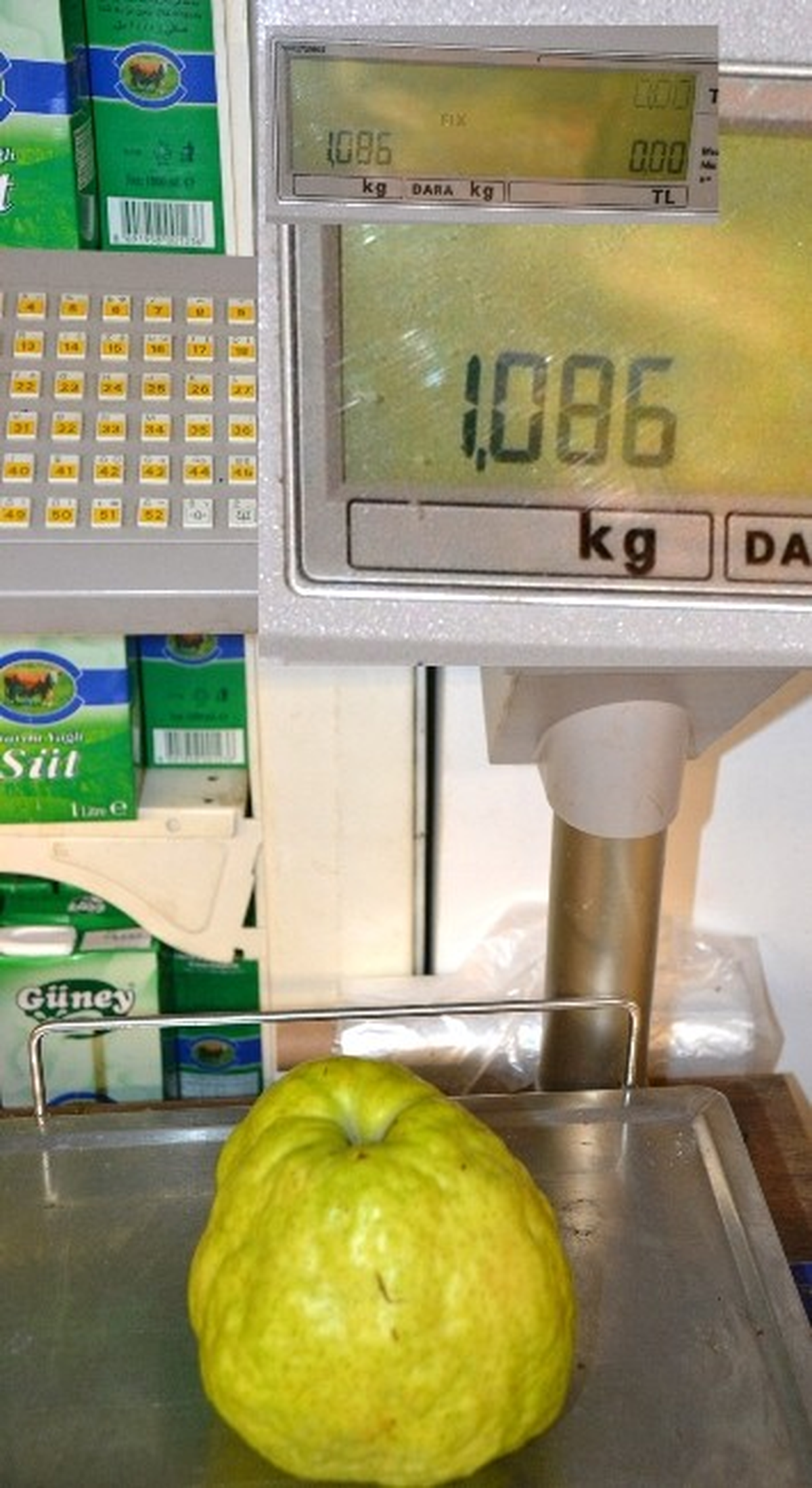 1 Kilo 86 Gramlık Armut Görenleri Şaşırtıyor