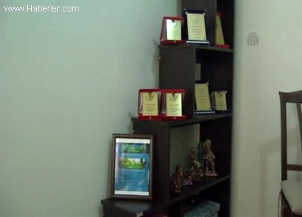 Akvaryuma "hayat" veriyor