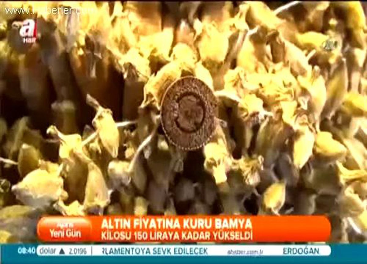 Altın Fiyatına Kuru Bamya