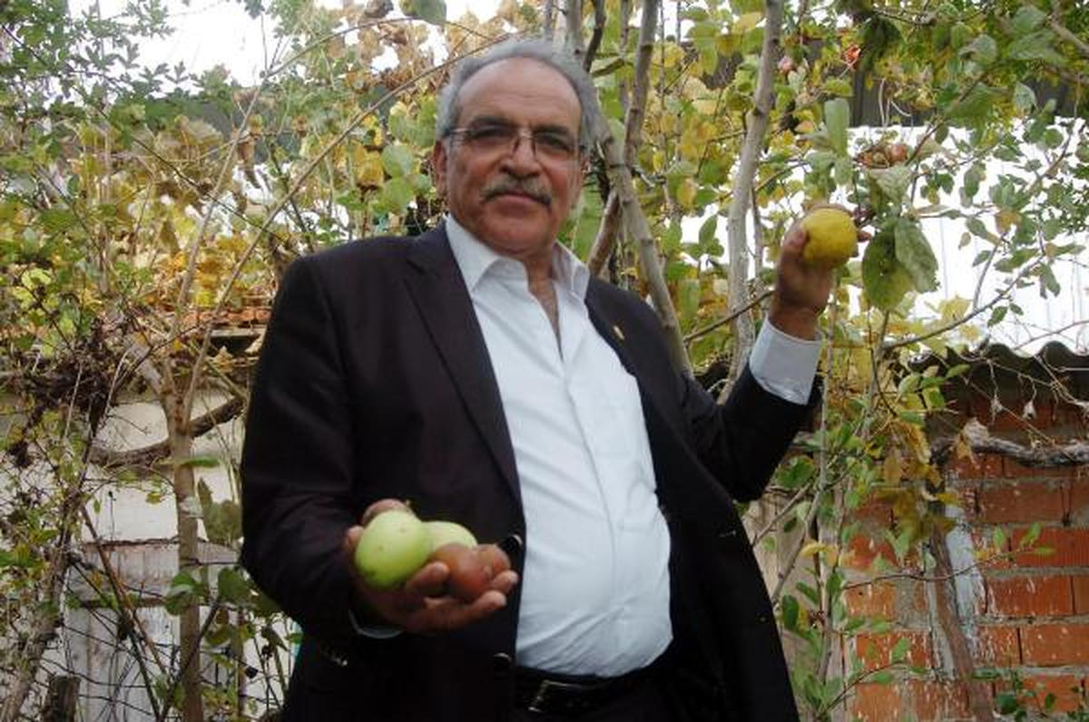 Aynı Ağaçta 7 Ayrı Meyve Yetiştirdi