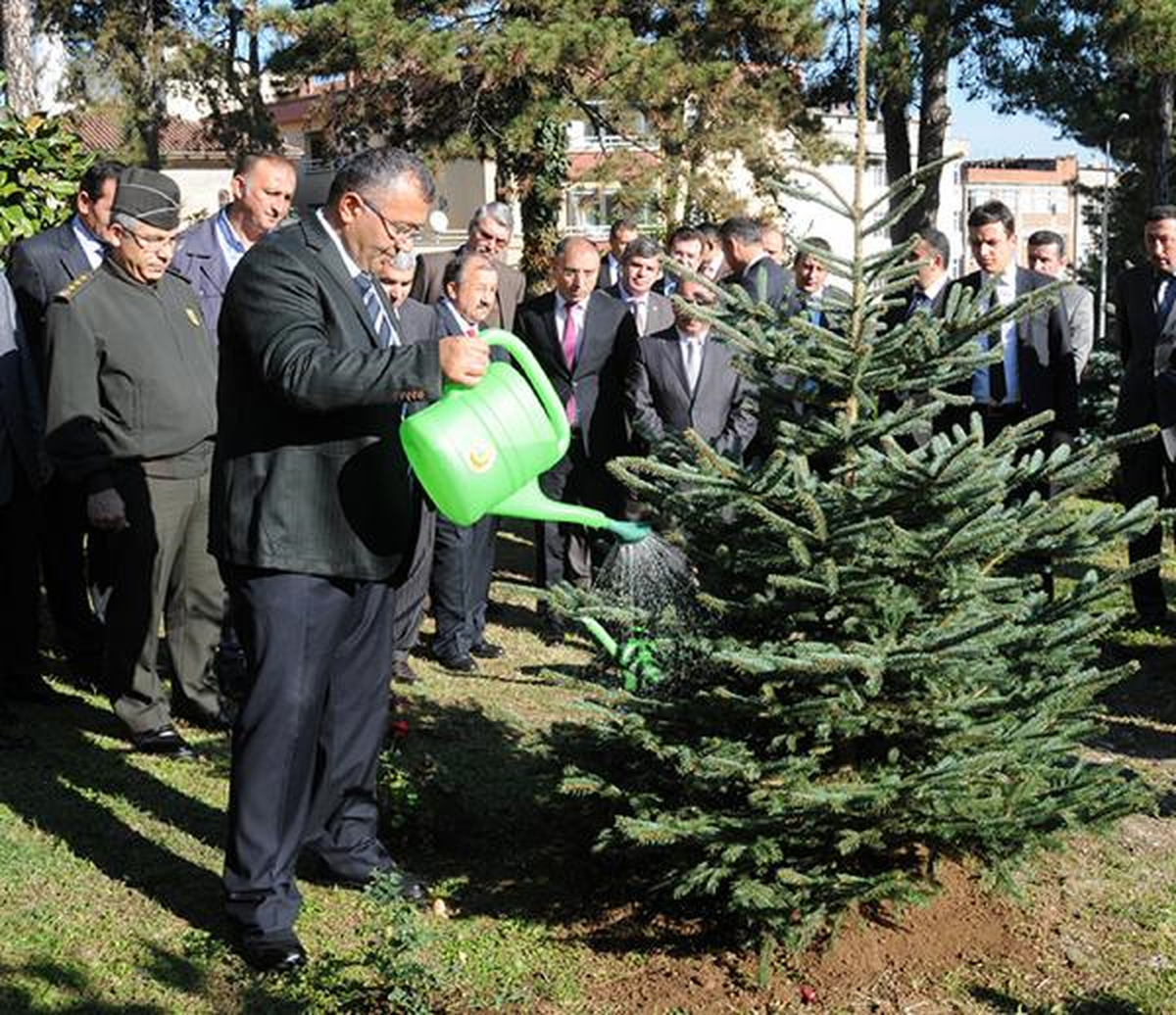 Ordu\'da Cumhurbaşkanı Gül Adına 52 Bin Fidan Dikildi