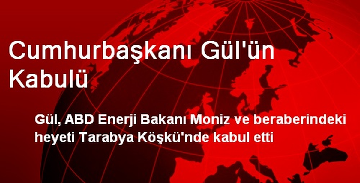Cumhurbaşkanı Gül\'ün Kabulü