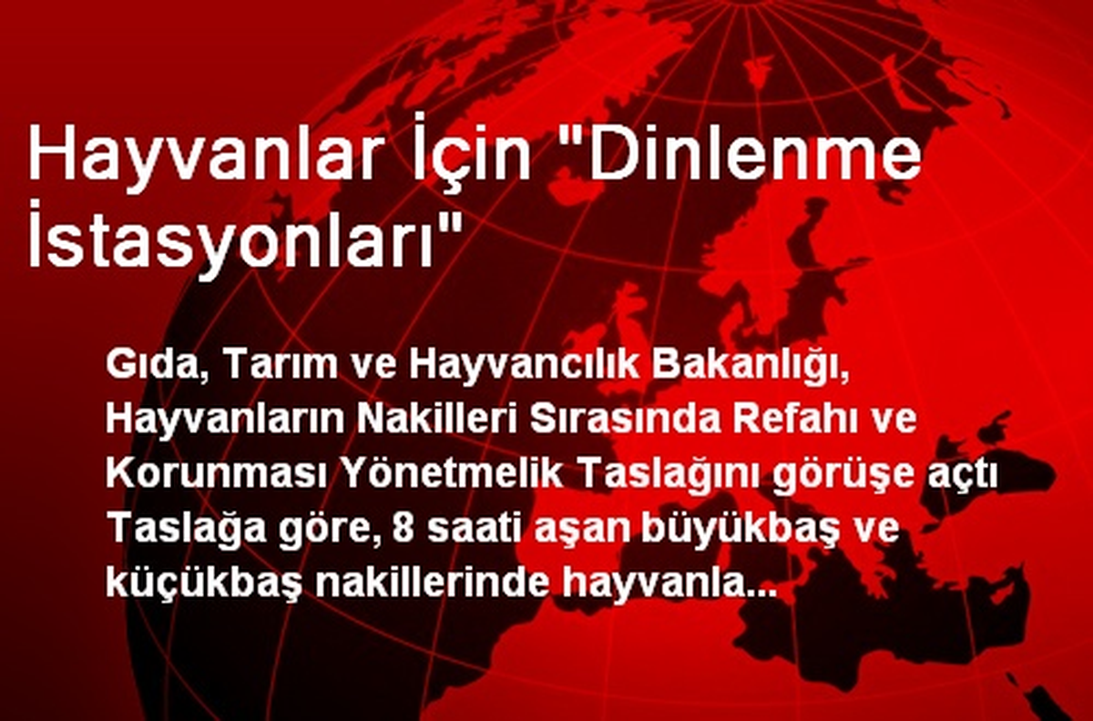 Hayvanlar İçin "Dinlenme İstasyonları"