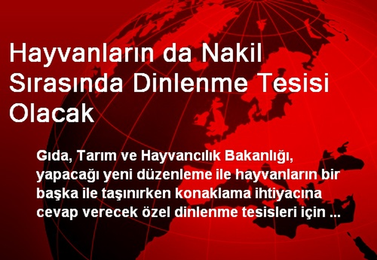 Hayvanların da Nakil Sırasında Dinlenme Tesisi Olacak