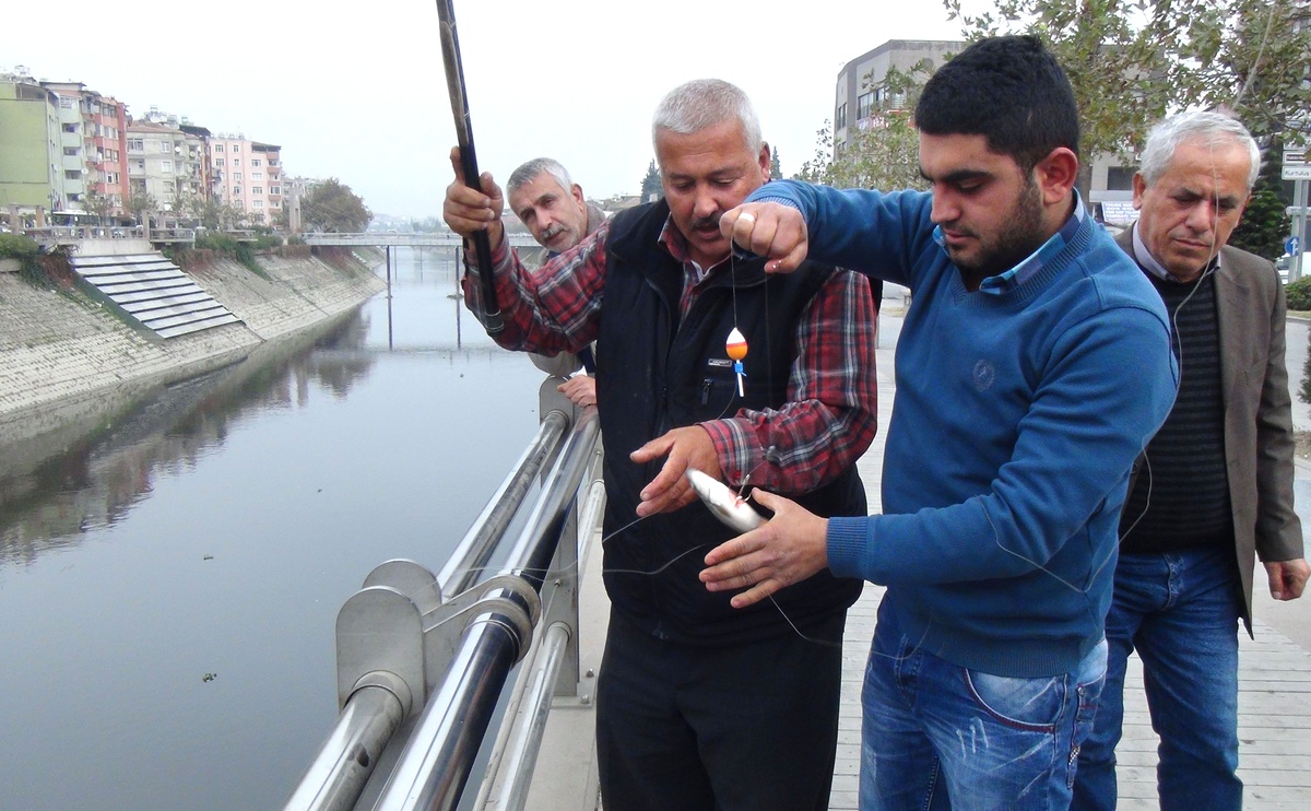 Asi Nehrindeki Balık Ölümleri Araştırılıyor