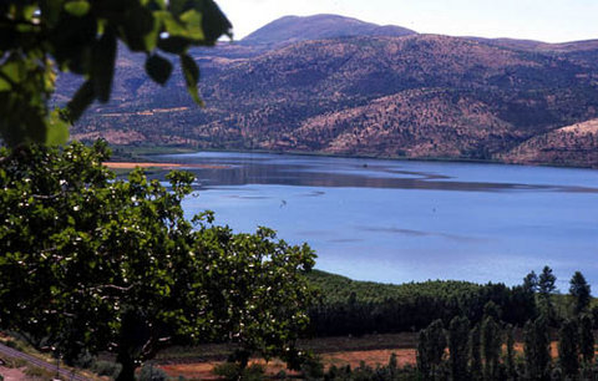 Ayvalık, Su Altı Tutkunlarını Sonbaharda da Ağırlıyor