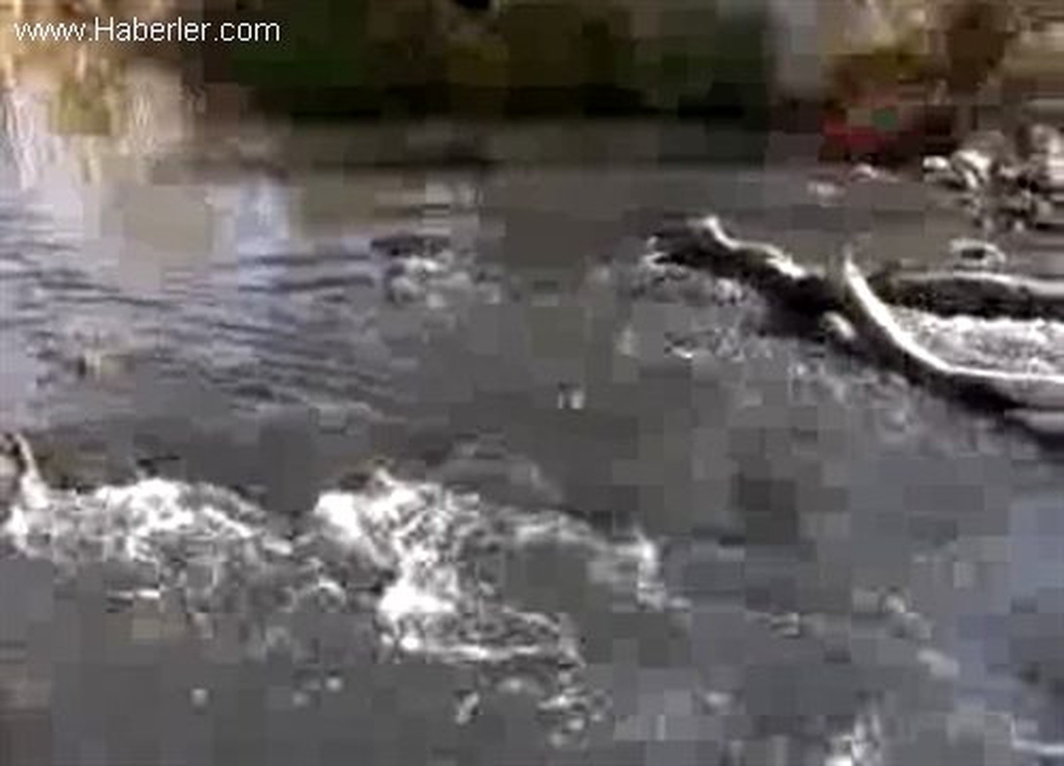 Büyük Menderes\'ten Su Örnekleri Alındı