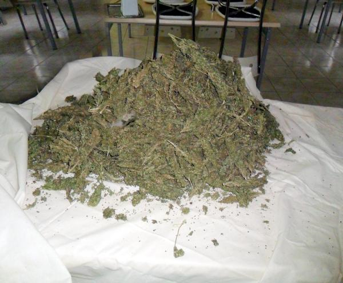 Ceylanpınar\'da 30 Kilo Esrara 7 Gözaltı