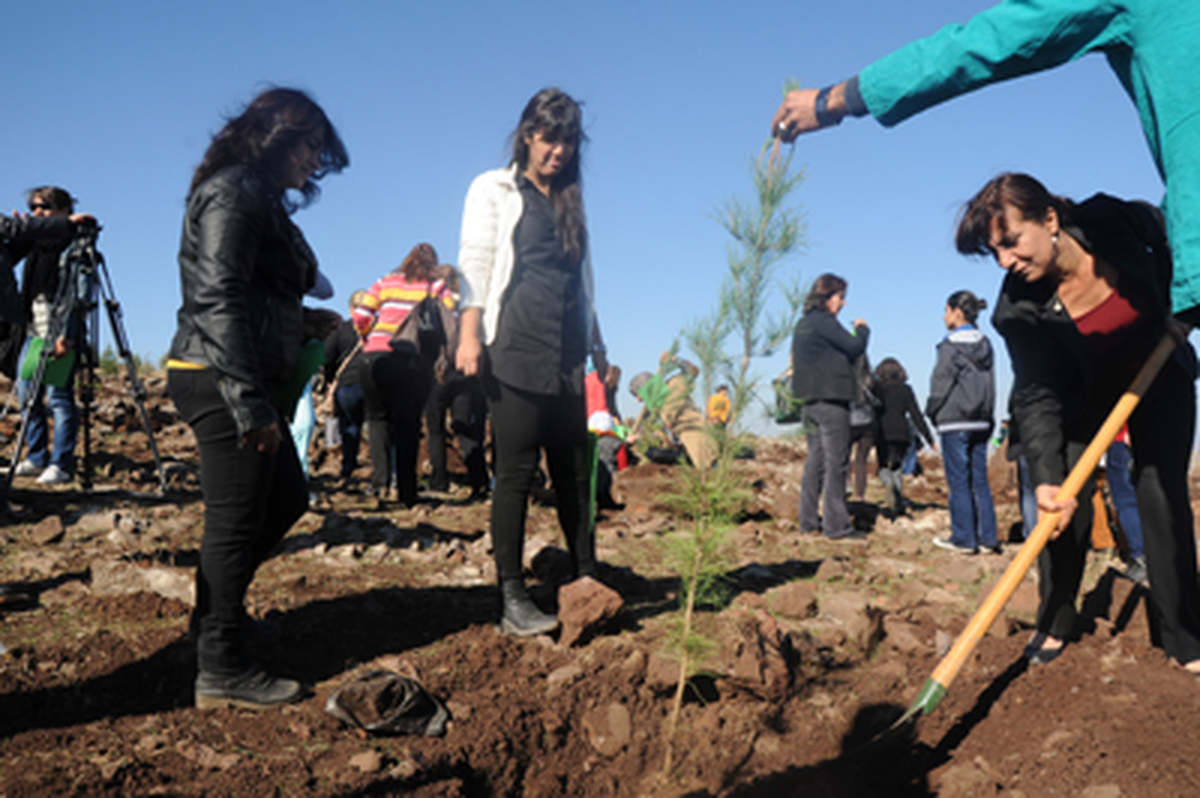 Kadınlar Şiddetle Mücadele İçin Fidan Dikti