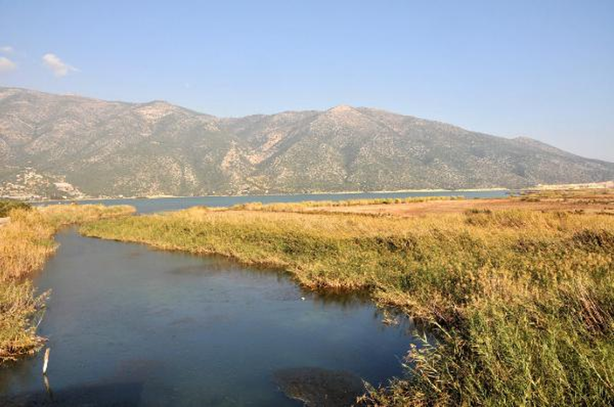 Kuşlar Beymelek Dalyanı\'na Geri Döndü