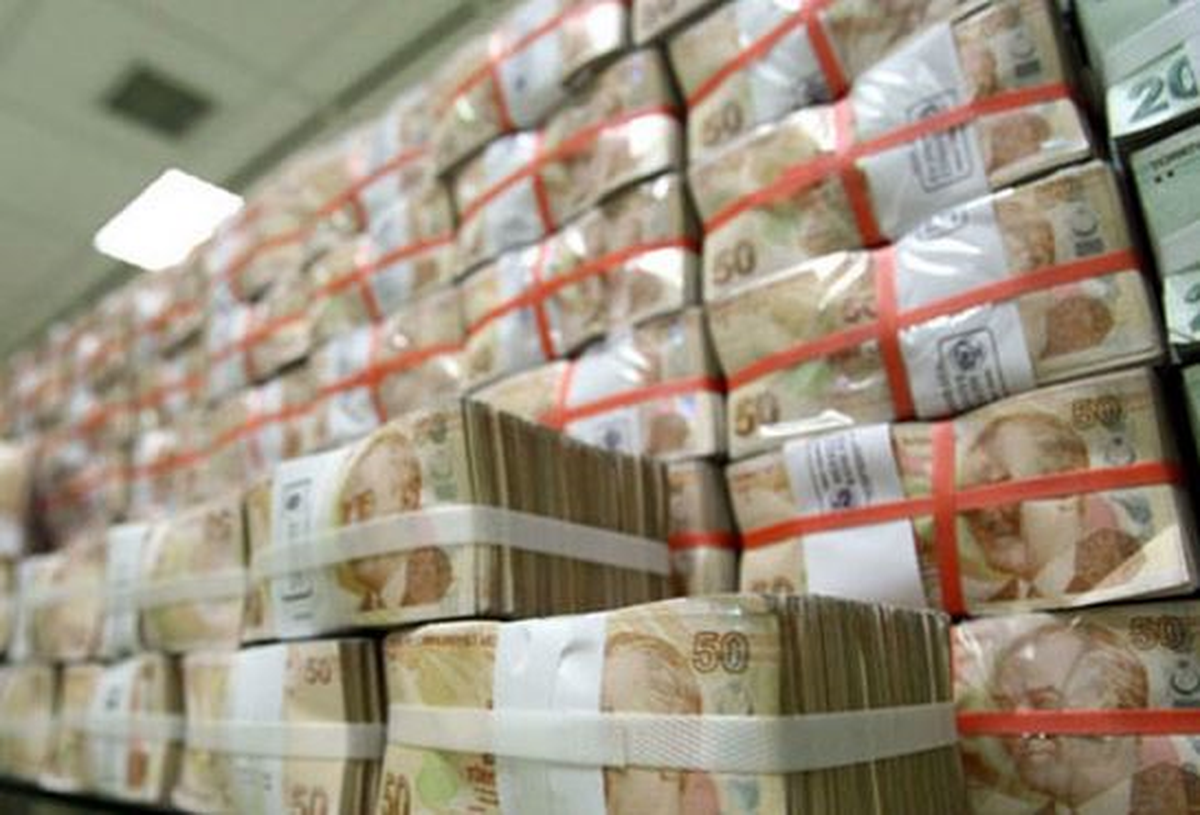 Maliye Bakanlığı Bütçesine Yedek Ödenek Tertibine 50 Milyon TL Eklendi