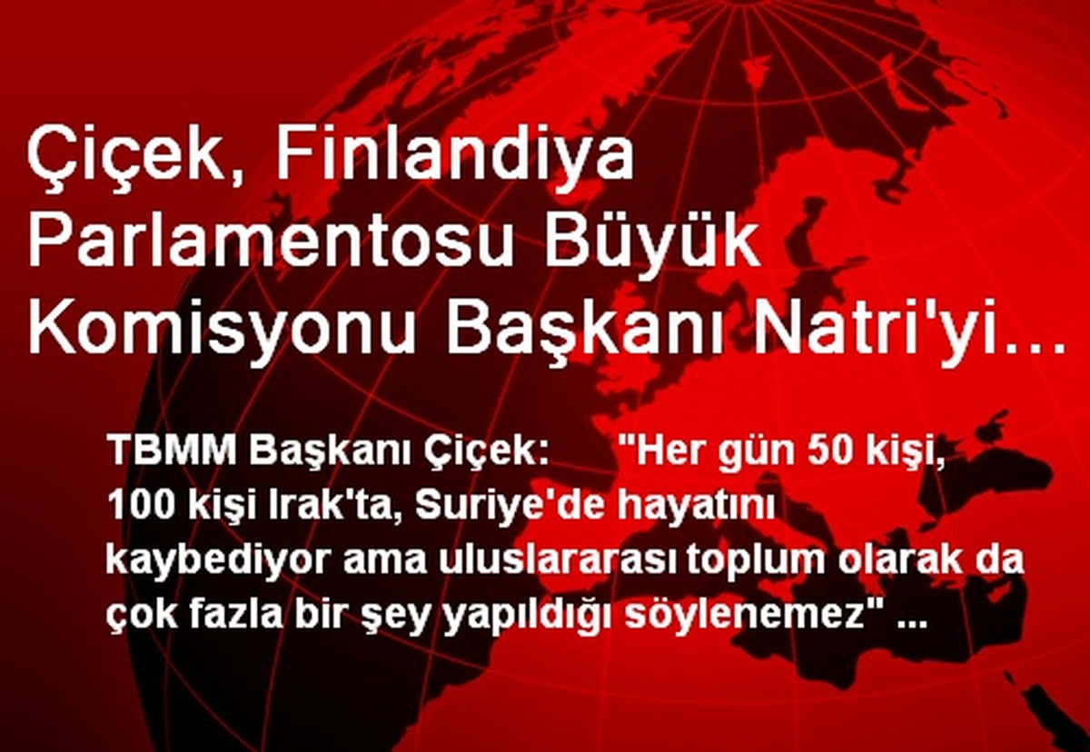 Çiçek, Finlandiya Parlamentosu Büyük Komisyonu Başkanı Natri\'yi Kabul Etti