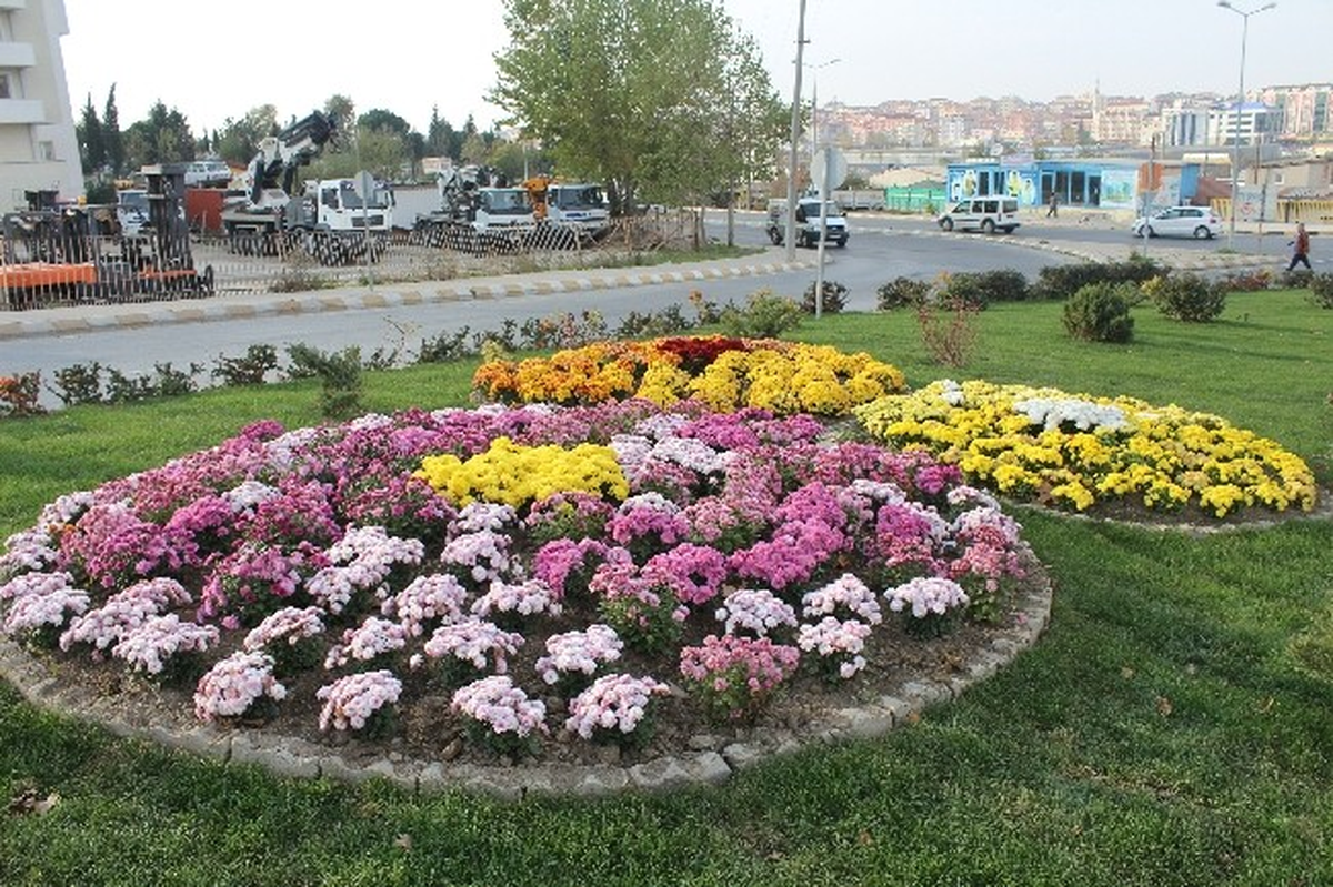 Peyzaj Çalışmaları Yaz Kış Dinlemiyor