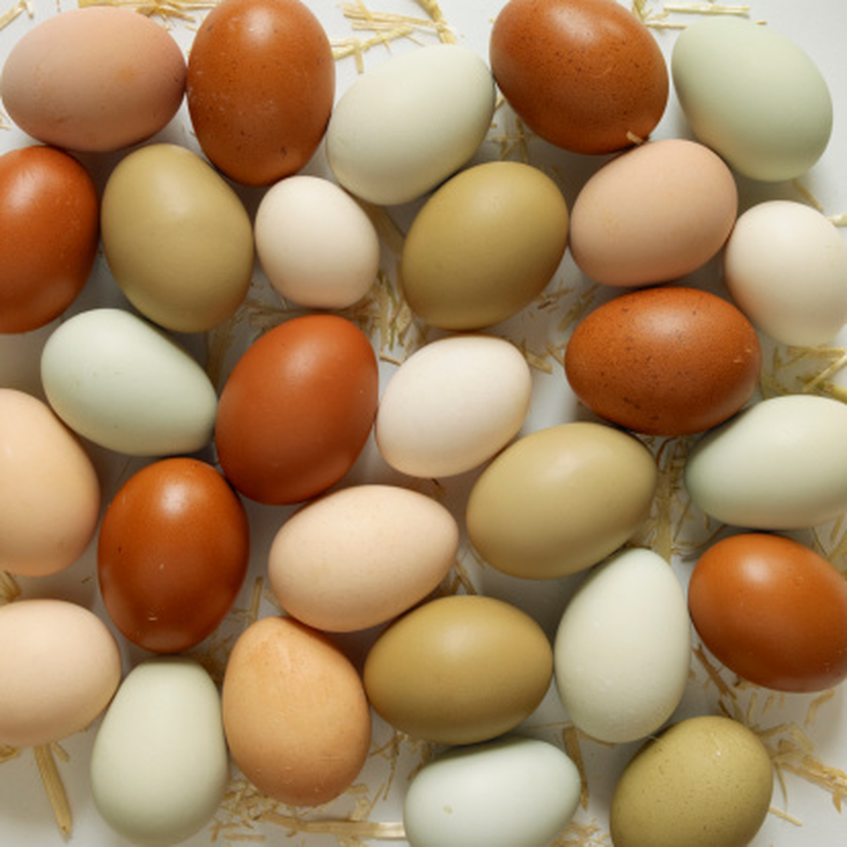 Yumurta, Anne Sütünden Sonra En İyi Protein Kaynağı