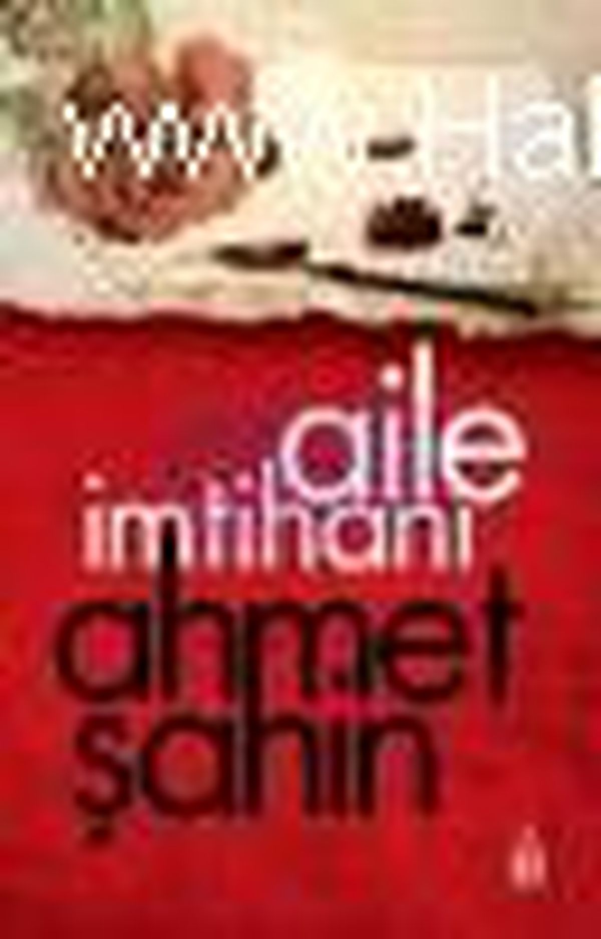 Aile İmtihanı Kitabı