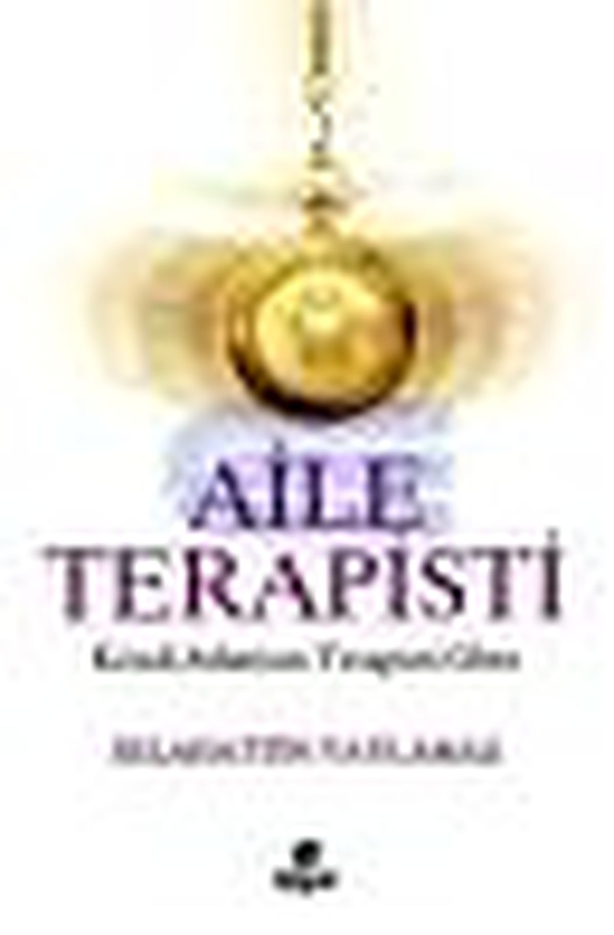 Aile Terapisti Kitabı