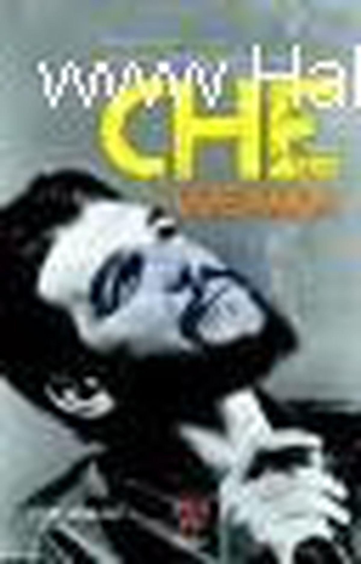 Che Guevara Kitabı