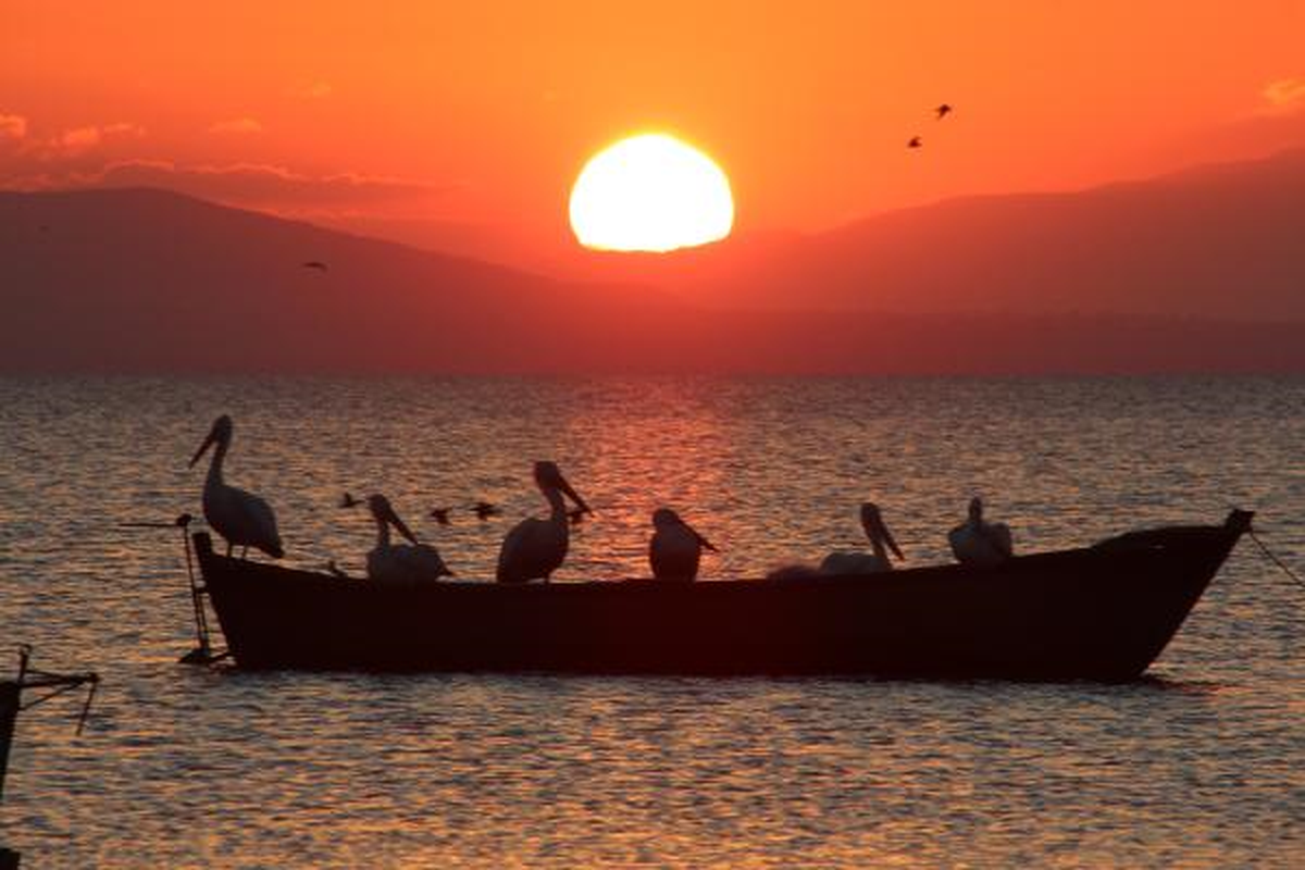 Kuş Cenneti\'nde, Pelikanlı Gün Batımı