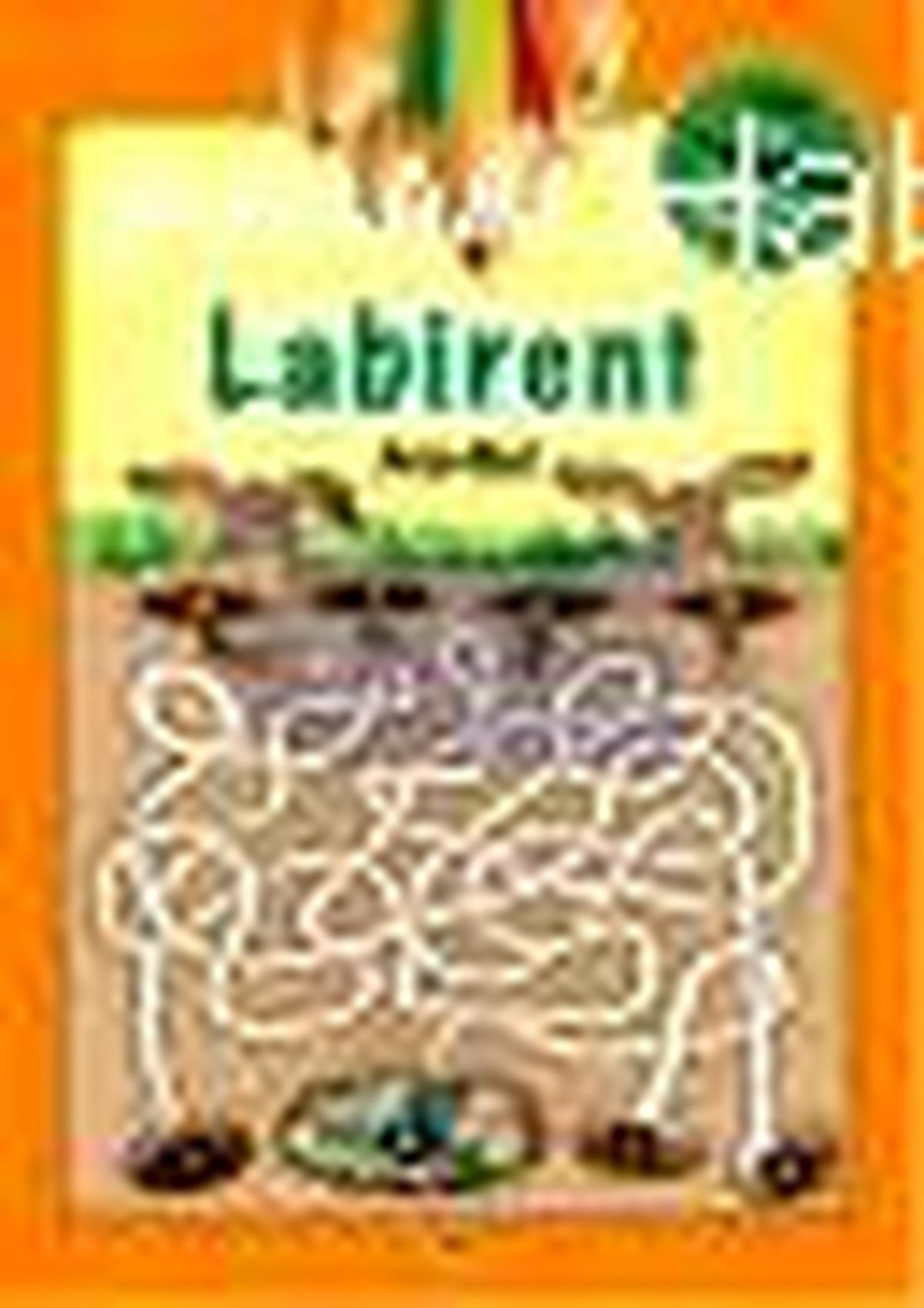 Labirent Kitabı