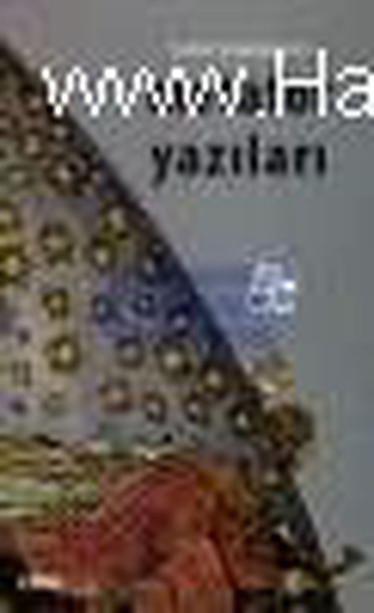 Metafor Yazıları Kitabı