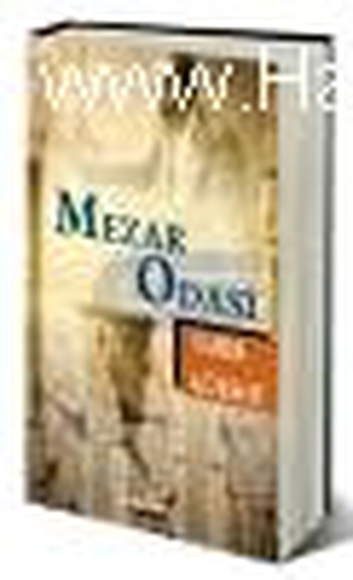 Mezar Odası Kitabı