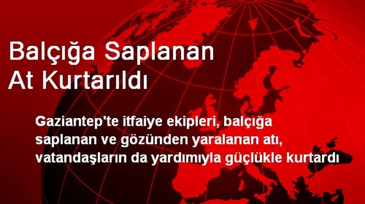 Balçığa Saplanan At Kurtarıldı