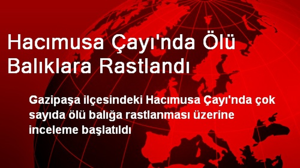 Hacımusa Çayı'nda Ölü Balıklara Rastlandı