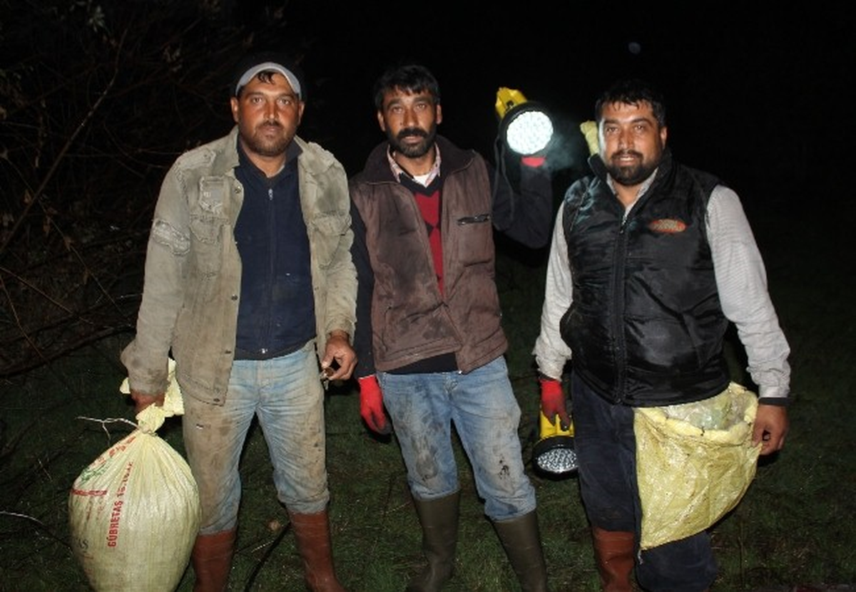 (Özel Haber) Yağmur Altında Salyangoz Çilesi