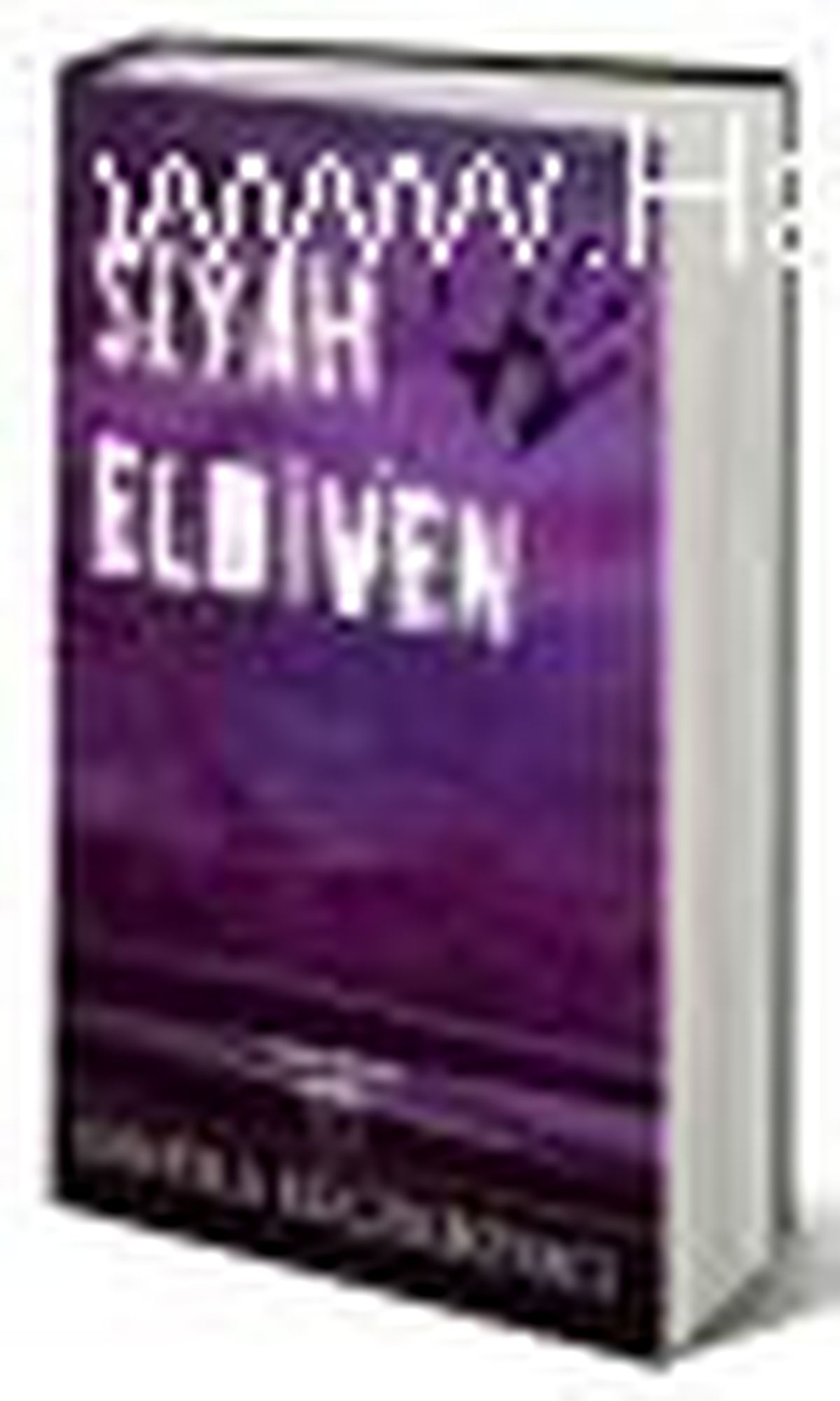 Siyah Eldiven Kitabı