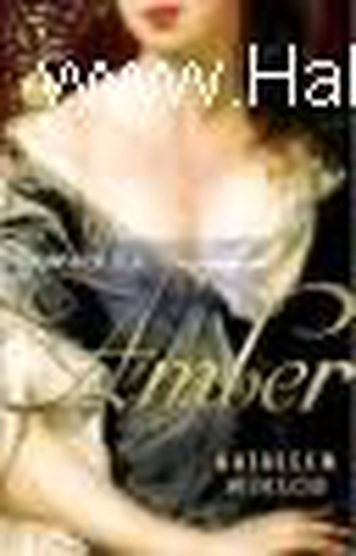 Sonsuza Dek Amber Kitabı