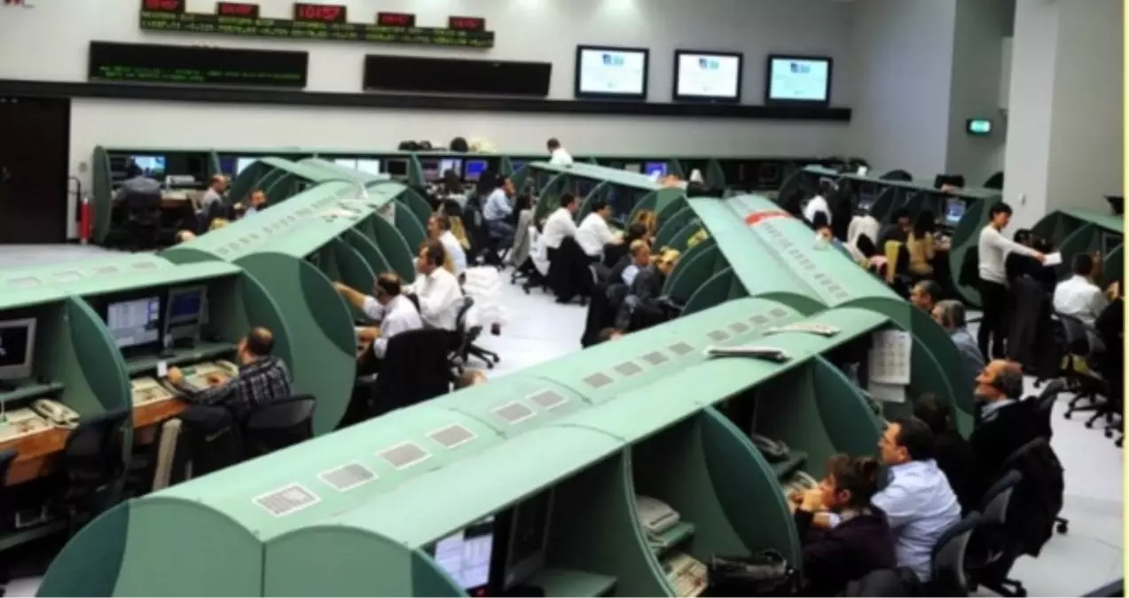 Yatırımcı Rehberi