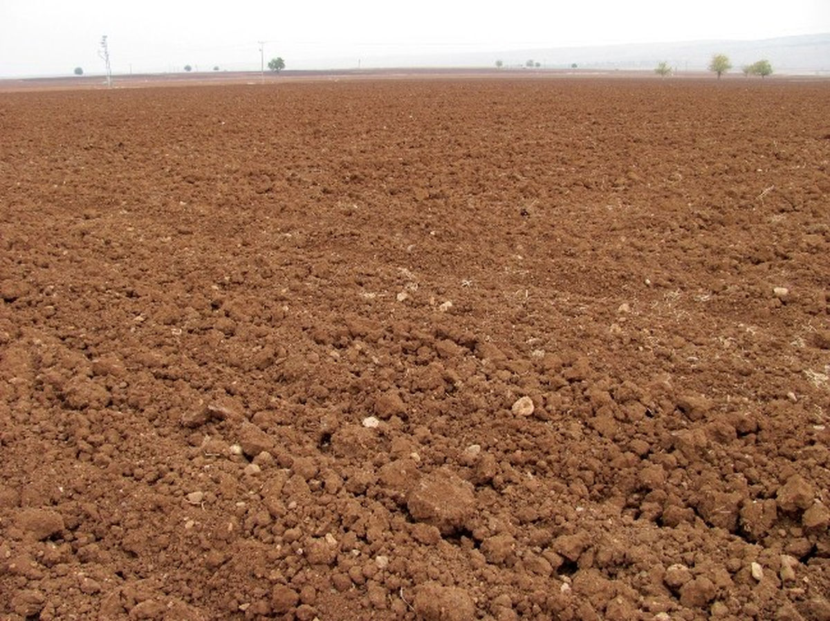 Arabanlı Çiftçiler Sonbahar Yağmuru Bekliyor