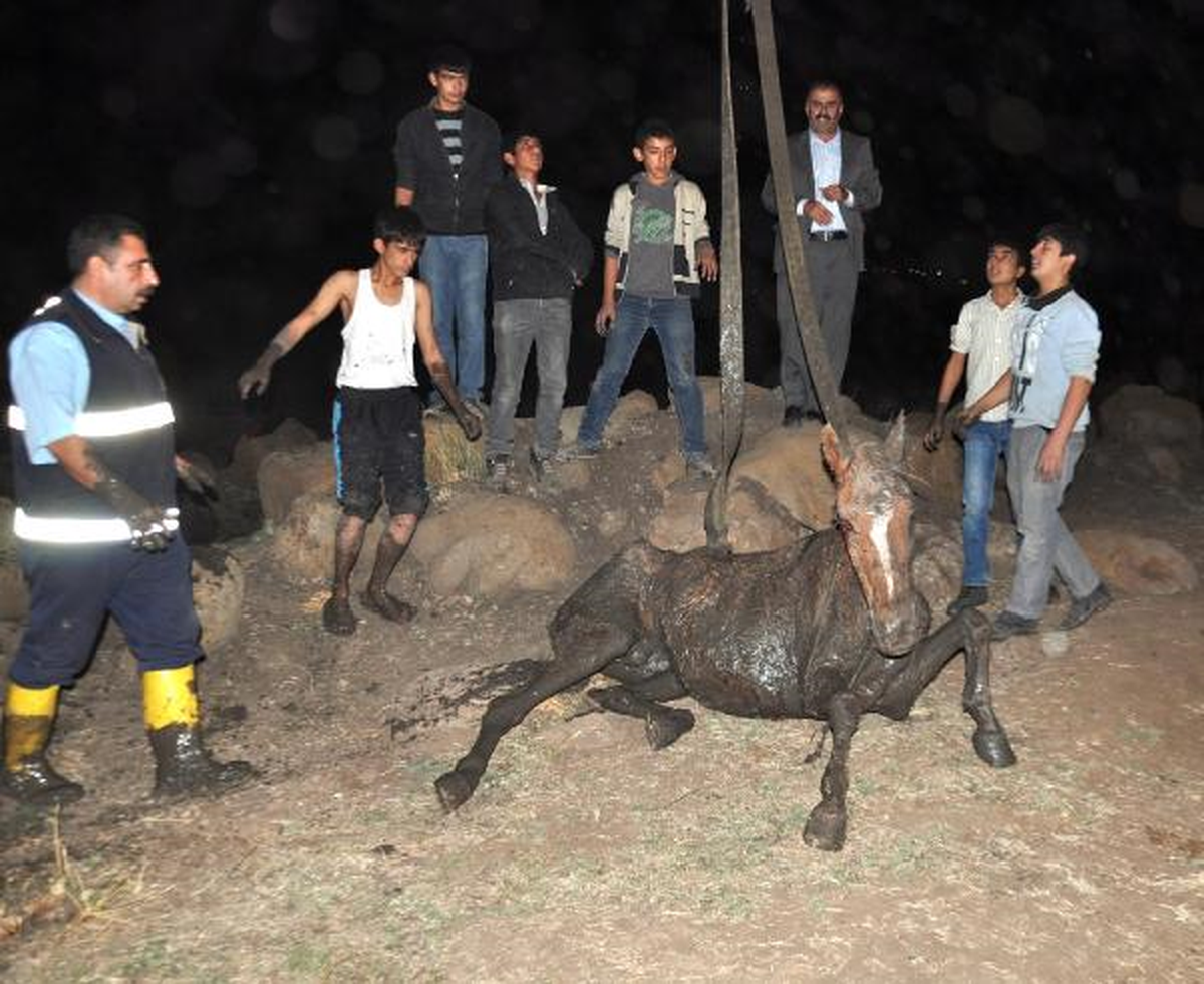 Balçığa Saplanan Atı İtfaiye Ekipleri Kurtardı
