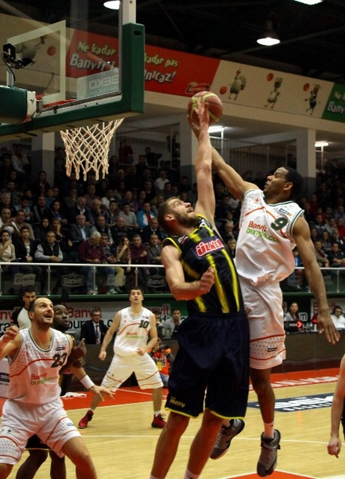 Beko Basketbol Ligi