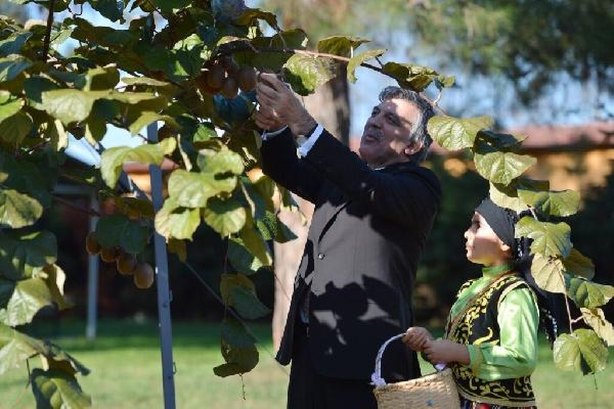 Cumhurbaşkanı, Ordu ve Giresun Gezisini Twitter\'dan Paylaştı