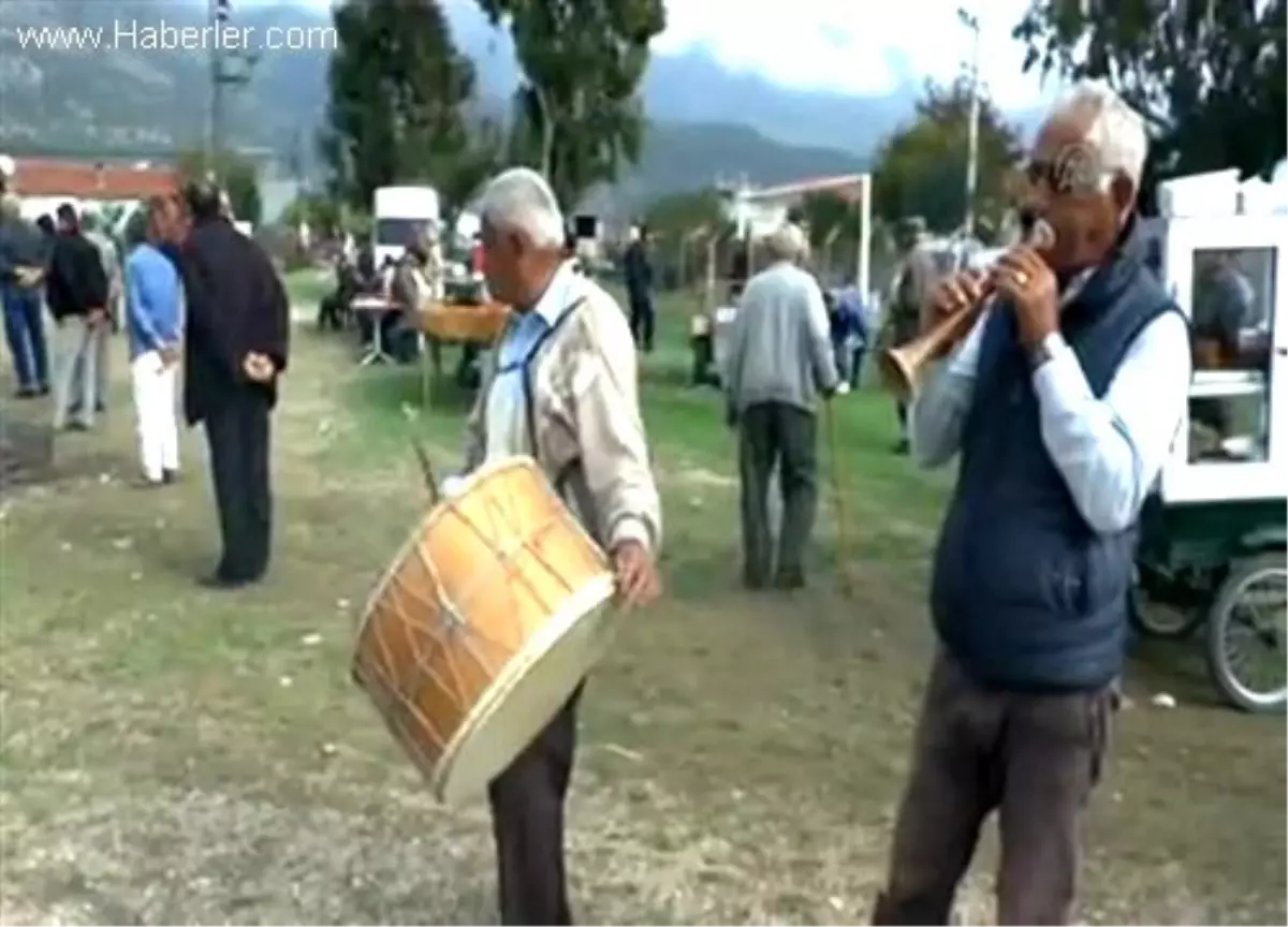 Develere davul zurna eşliğinde havut giydirildi